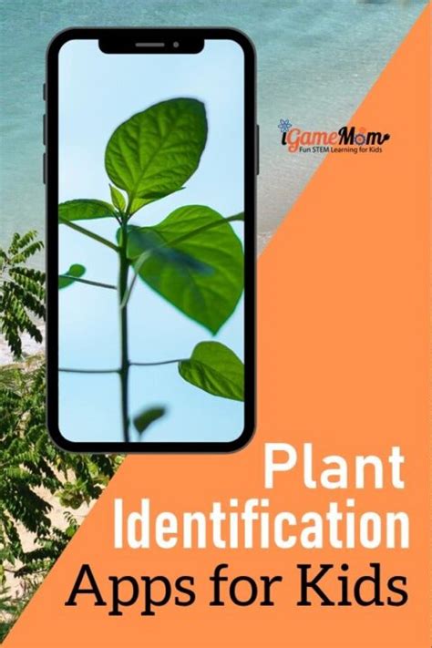 Plant Identification Apps