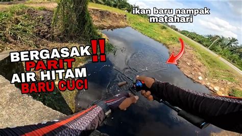 Casting Haruan Lubuk Haruan Parit Air Hitam Baru Cuci Haruan Lapar