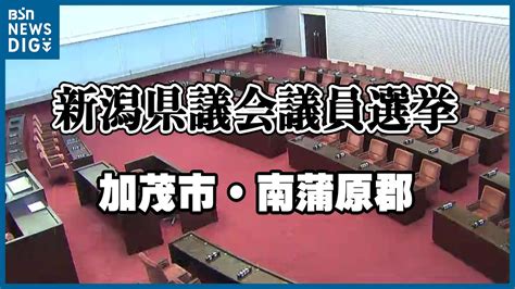 【開票結果】新潟県議選・加茂市南蒲原郡選挙区 無所属の新人が自民現職やぶる Tbs News Dig