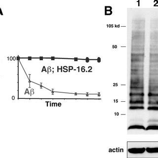 Suppression Of A Toxicity By Overexpression Of HSP 16 2 A Alignment