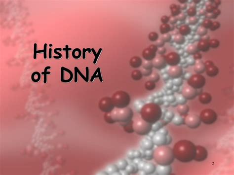 Ppt Dna And Replication Powerpoint Presentation Free Download Id