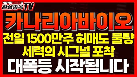 카나리아바이오 주가분석 긴급 전일 1500만주 허매도 물량의 실체 세력의 시그널 포착 대폭등 시작됩니다