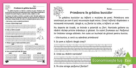 Fisa De Lectura Model Cursuri Online