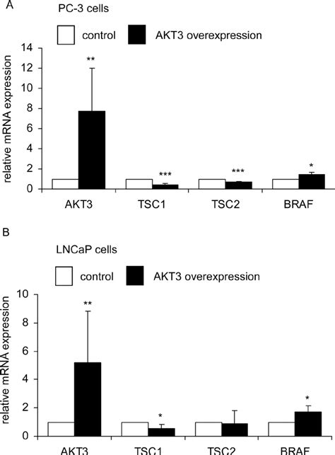 Akt3 Gene Overexpression Affected Expression Of Tsc1 Tsc2 And Braf