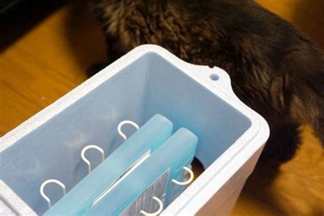 【エアコンなし】猫の暑さ対策で作った自作クーラーに大満足！保冷剤と扇風機で意外と冷えた ネコメボックス｜wimaxヘビーユーザーのガジェットブログ