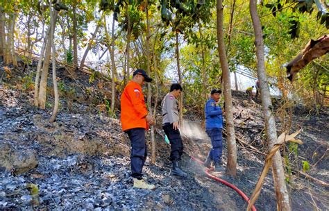 Bakar Sampah Dan Buang Puntung Rokok Sembarang Jadi Penyebab 63