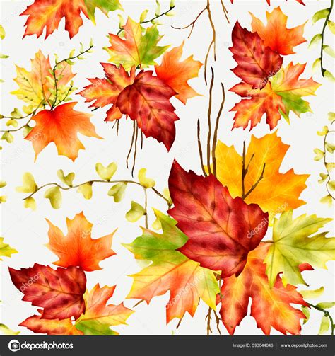 Beautiful Watercolor Maple Leaves Floral Seamless Pattern Stock ...