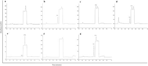 Representative Hplc Chromatograms Obtained For Blank Rat Plasma A