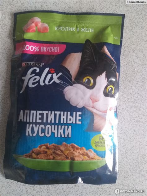 Корм для кошек FELIX Аппетитные кусочки с кроликом в желе - «Мой кот ...