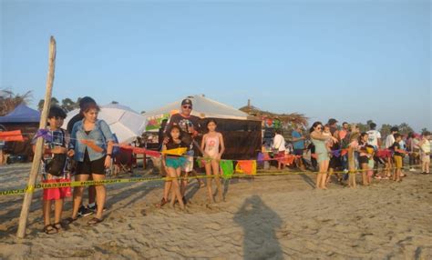 En Las Playas Michoacanas El Tortufest 2022