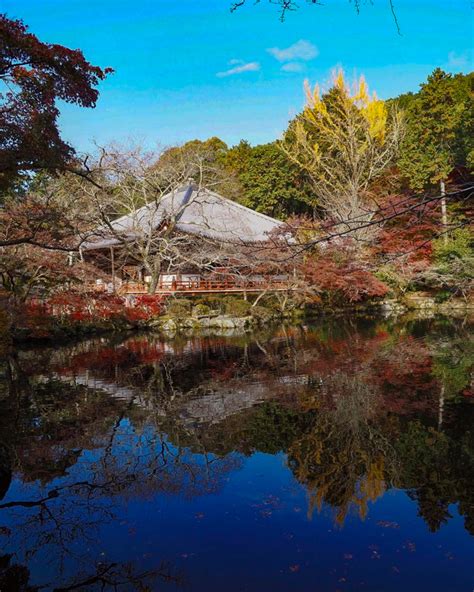 醍醐寺（紅葉）京都府京都市の観光・撮影スポットの名所 東海カメラマップ