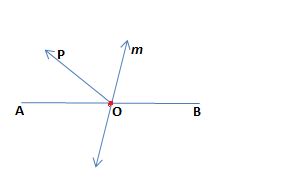 Segment Bisector In Real Life