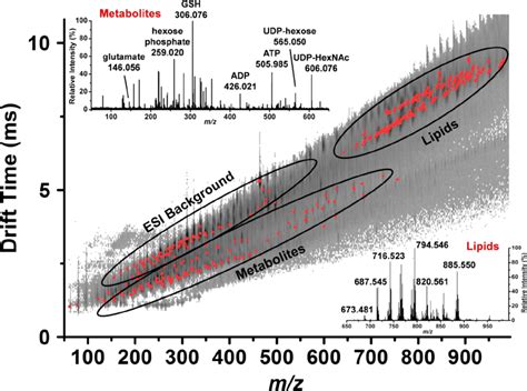 Identi Fi Cation Of Ion Peaks Marked By Red Dots Are Based On Their M