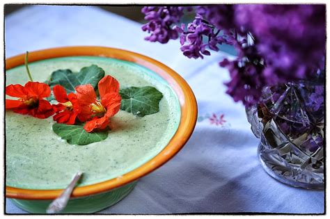 Floral Recipe Nasturtium And Buttermilk Soup Msmarmitelover