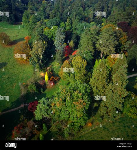 Westonbirt arboretum aerial hi-res stock photography and images - Alamy