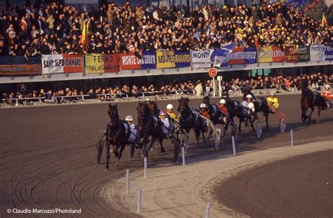 Gualdo Tadino Per La Prima Volta Parteciper Al Xxx Palio Dei Comuni Di