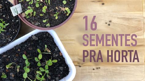 Comece Sua Horta Com A ColeÇÃo De Sementes Minhas Plantas Carol Costa Da Isla Sementes Youtube