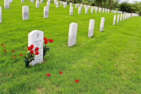 Free Images : grass, lawn, meadow, military, soldier, pasture, cemetery ...