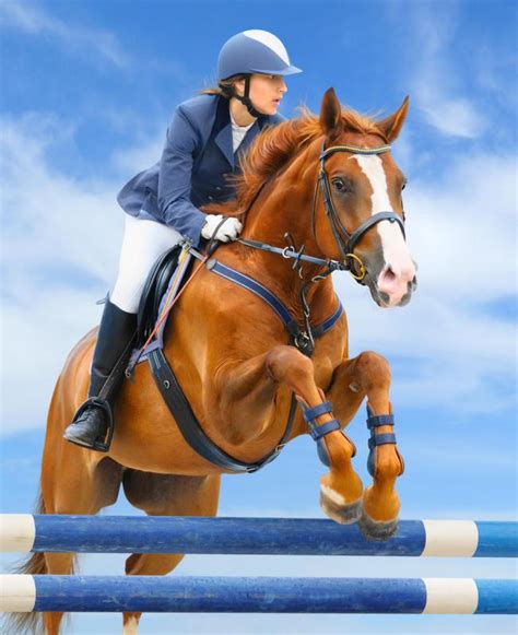 What Is English Riding With Pictures