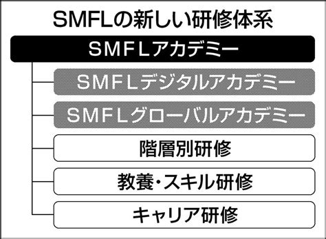 三井住友ファイナンス＆リースが立ち上げた 自分創り 支援の中身｜ニュースイッチ By 日刊工業新聞社