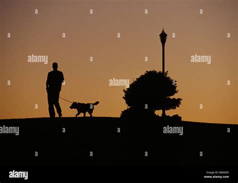 Silhouette of a man walking a dog Stock Photo - Alamy