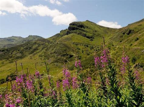 Le Grand Site De France Puy Mary Volcan Du Cantal Lance Un Projet