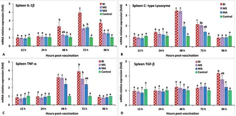 Analysis Of The Expressions Of Il A C Type Lysozyme B Tnf