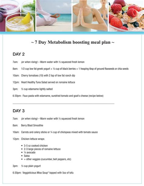 7 Day Metabolism boosting meal plan | Metabolism boosting foods, Meal ...