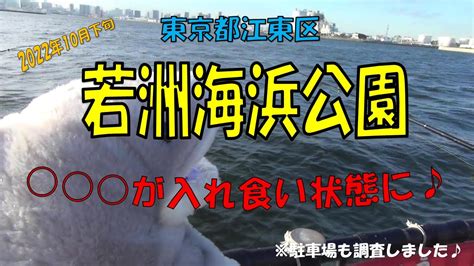 若洲海浜公園での釣果報告です。今回は！？釣り動画としての報告ができました。よろしければ最後までご視聴下さいm M 釣り 若洲海浜