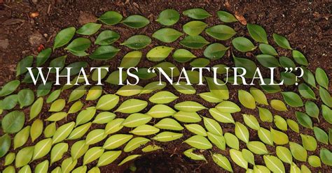 What is "Natural"? - Celtic Sustainables 