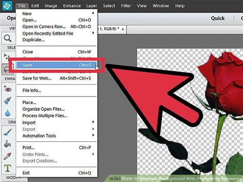 How To Remove Background With Photoshop Elements With Pictures