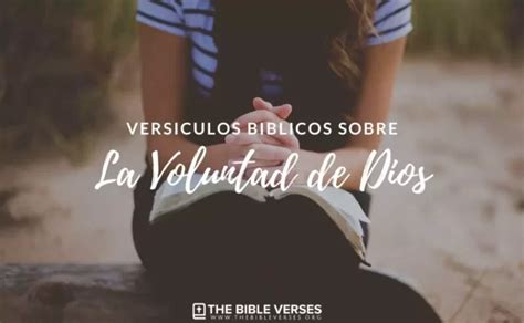 25 Versículos de la Biblia sobre La Voluntad de Dios Textos Bíblicos