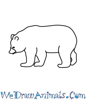 Easy Black Bear Drawing