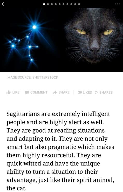 Sagittarius Spirit Animal The Cat This Explains Why I Love Cats So