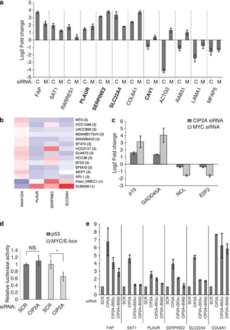 Cip2a Regulates Myc Mediated Transcriptional Profile A Qrtpcr