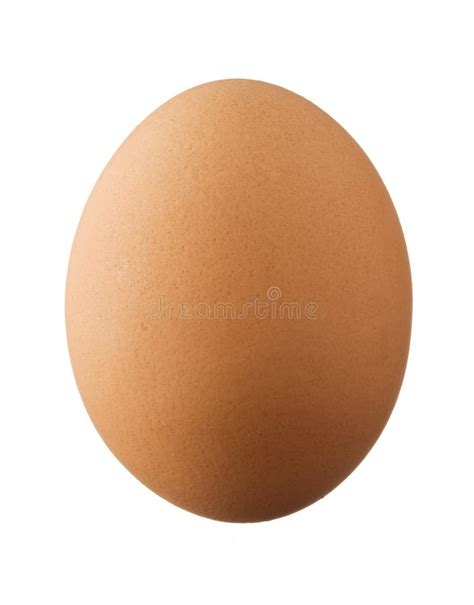 Egg Isolated Stock Photo Image Of Studio Single Background 6443880