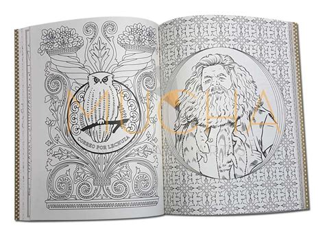 Libro Para Colorear Harry Potter Y Su Mundo Magico Libreria Artistica