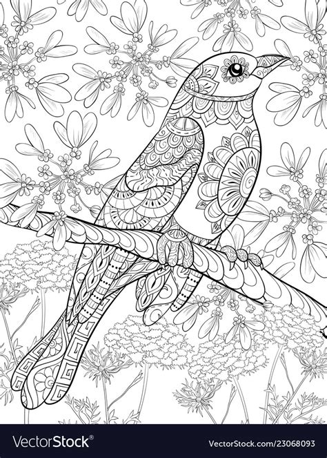 Adult Coloring Bookpage A Cute Bird Royalty Free Vector