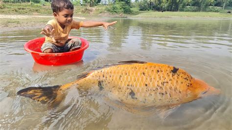 Amazing Traditional Boy Fish Catching By Hand In Water Amazing Hand