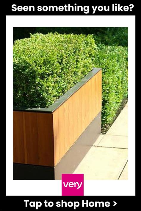 You Garden Box Buxus Hedging Pack Plants In Cm Pots Plants