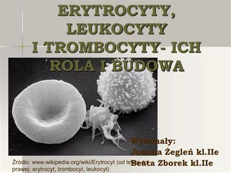 Ppt Erytrocyty Leukocyty I Trombocyty Ich Rola I Budowa Powerpoint