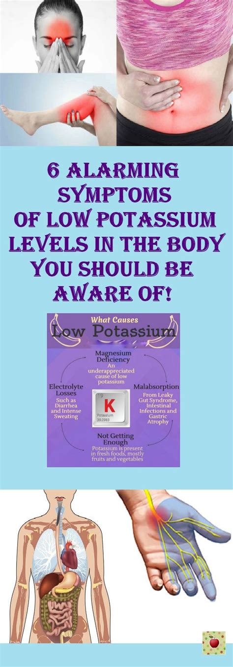 6 Alarming Symptoms Of Low Potassium Levels In The Body You Should Be Aware Of Potassium Low