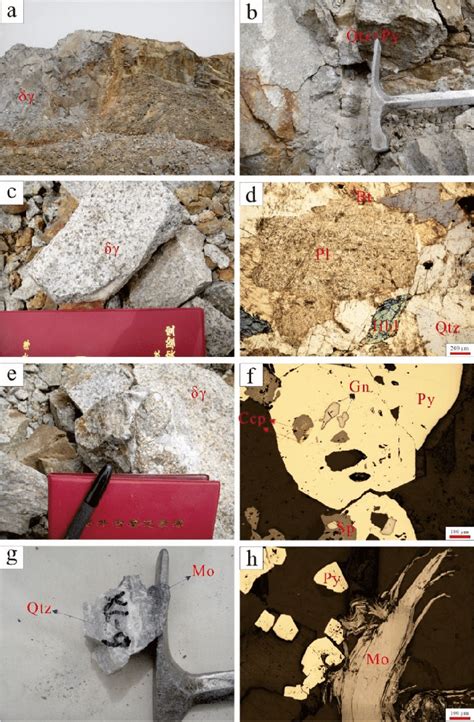 Macro And Micro Photographs Of Mo Mineralization Within The