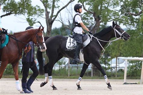 【京都大賞典】動き抜群！！ ディープボンド勝ってgⅠへgo｜競馬ニュース｜競馬予想のウマニティ