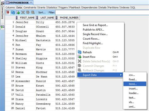 Creating An Online Phone Book With Oracle Database And Sqldeveloper