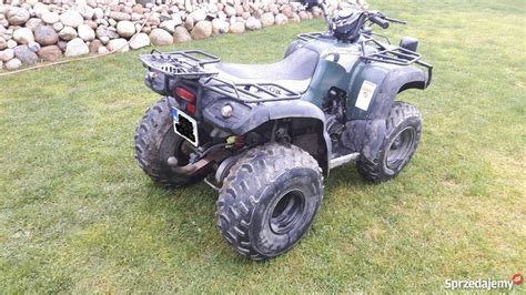 QUAD AEON OVERLAND 180 Sulęcin Sprzedajemy pl