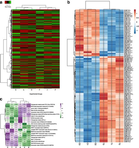 A Heat Map Based On Clustering Of The Multivariate Data Of The Two Download Scientific Diagram