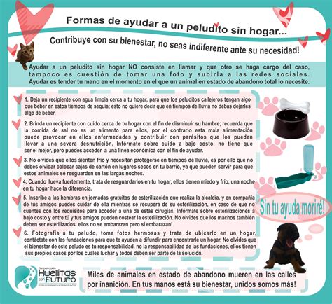 Promovemos el respeto y la protección de los animales nuestras