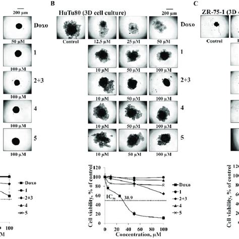 The Cytotoxic Effect Of Compounds 1 5 On The Model Of 3d A Sk Mel 28