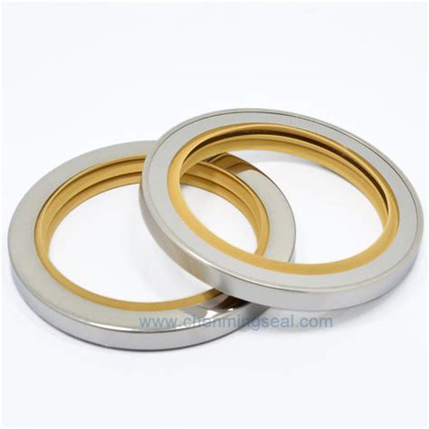 Triple Lip Ptfe Oil Seal Stainless Steel Housing For Oilless Application Ptfe Oil Sealspring